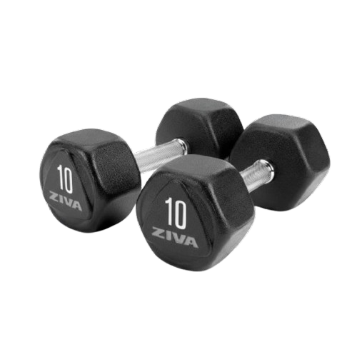 ZIVA SL Hexagon Urethane Studio Dumbbell Set 1-10 kg