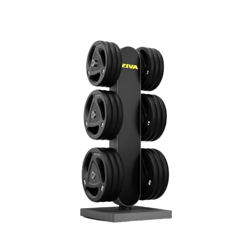 ZIVA EX DISC STORAGE STATION 2.0