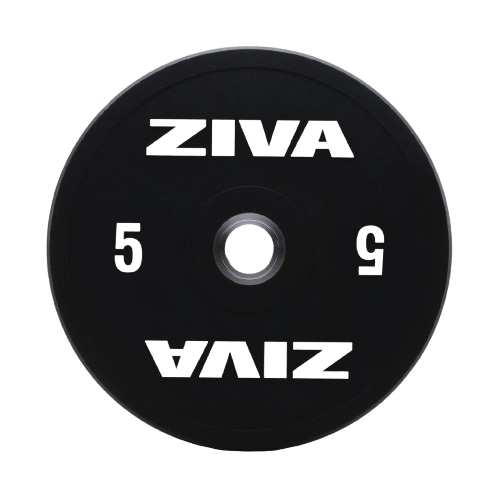 SL RUBBER COMPETITION COLORED TRAINING BUMPER DISCS