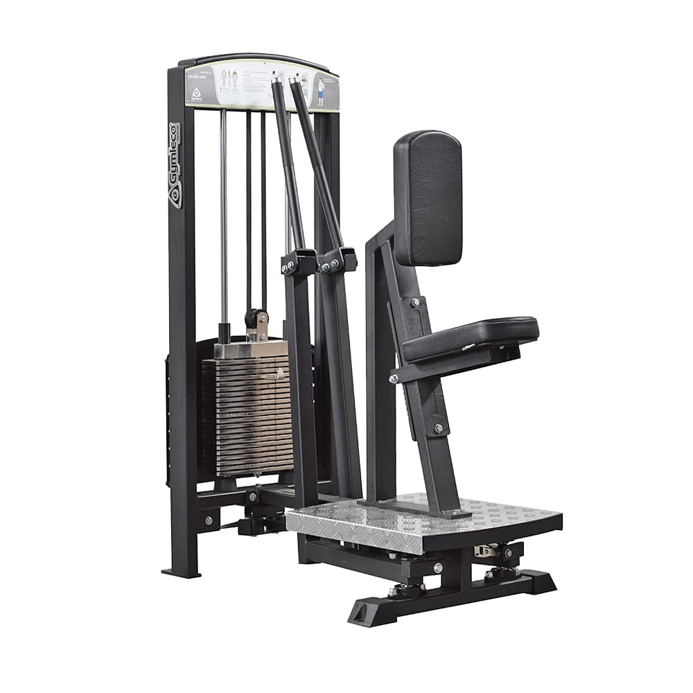 Rear Deltoid Shoulder