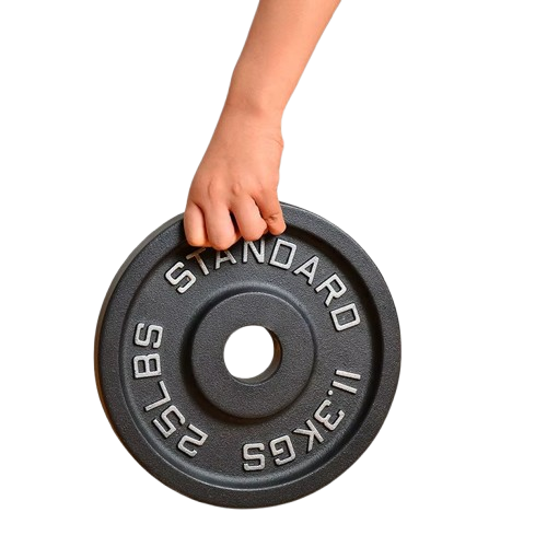 STANDARD CAST IRON WEIGHT PLATE