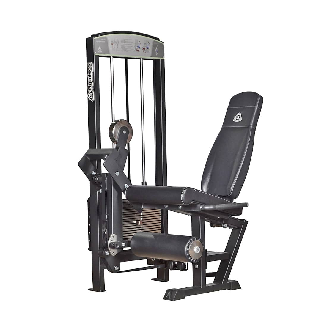 Leg Extension
