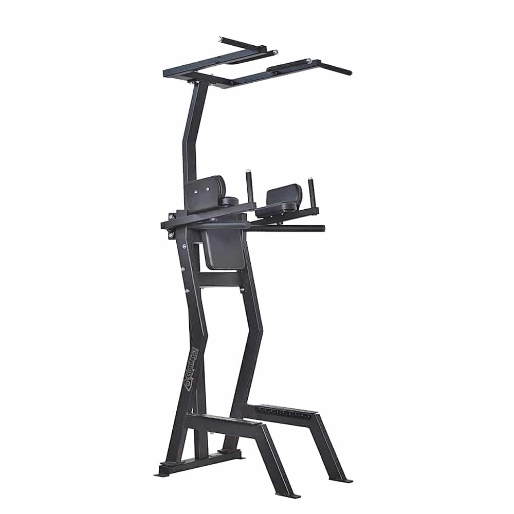 Leglift with chins and dips