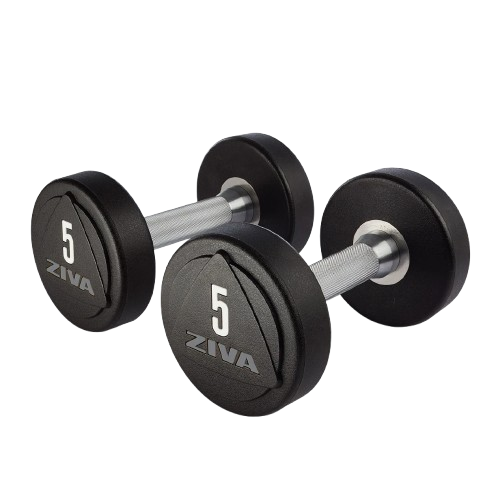 ZVO SOLID STEEL URETHANE STUDIO DUMBBELLS