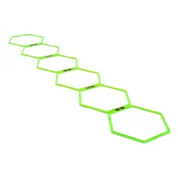 Agility Grid System MD-Buddy