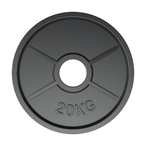 PAINTING CAST IRON WEIGHT PLATES (MD1001)