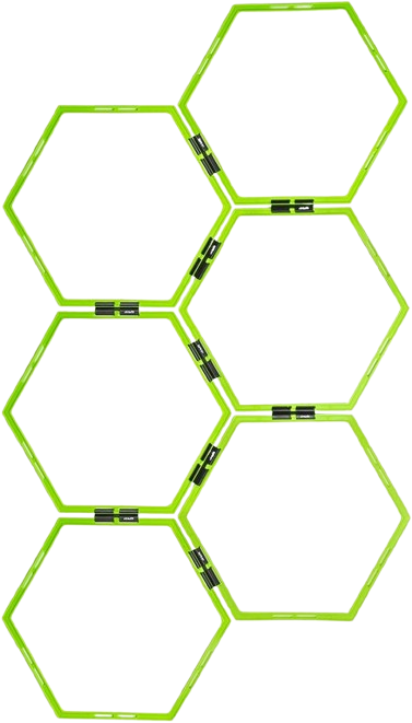 Agility Grid System MD-Buddy