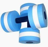 swimming dumbbells