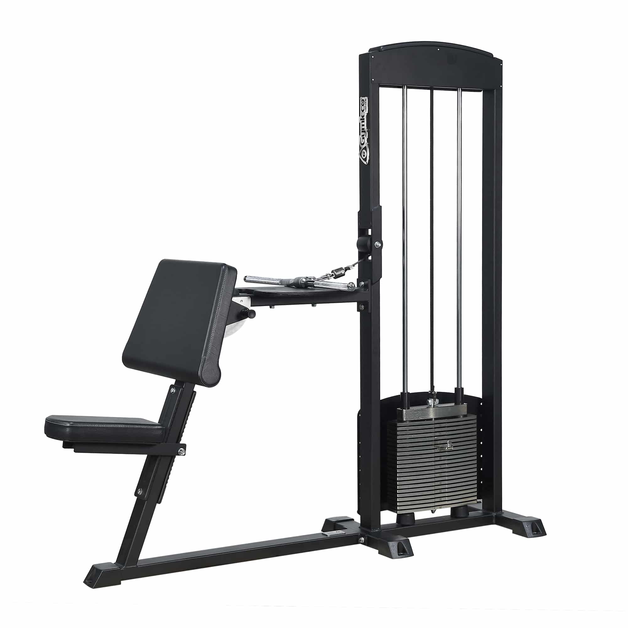 Biceps Curl/Triceps Extension