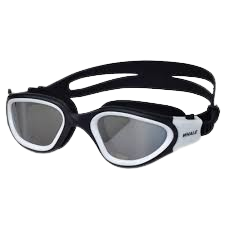 نظارات السباحة