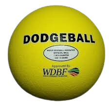 WDBF Foam Dodgeball 7