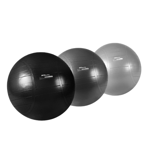 Gym Ball  MD-Buddy