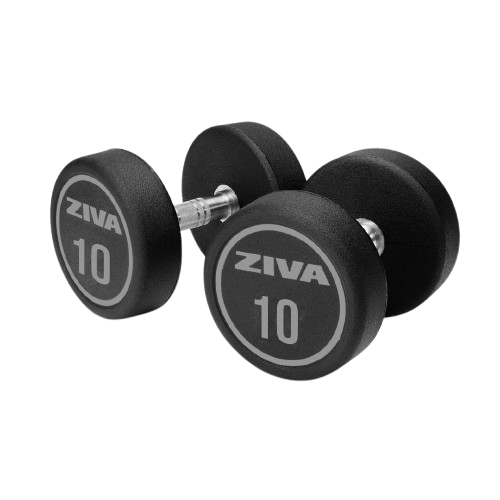 ZIVA XP URETHANE DUMBBELLS