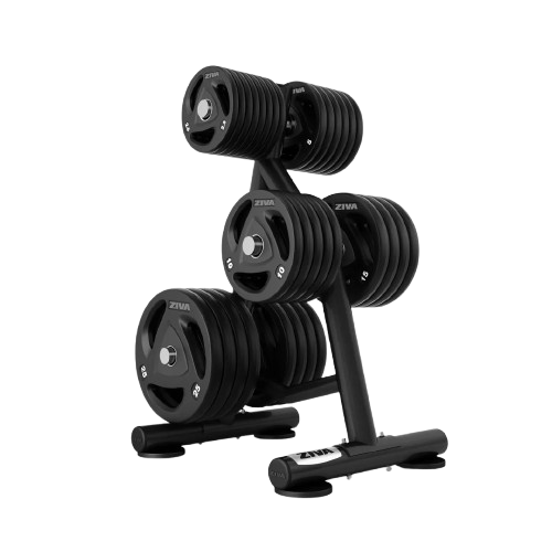 ZIVA ST DISC STORAGE RACK