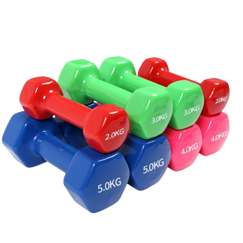 Vinyl Dumbbell