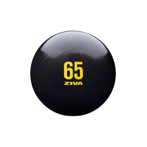 ZIVA ZVO Anti-Burst Core-Fit Ball