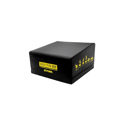 ZVO GLUTE PLYO BOX