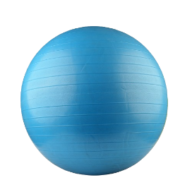 Gym Ball  MD-Buddy