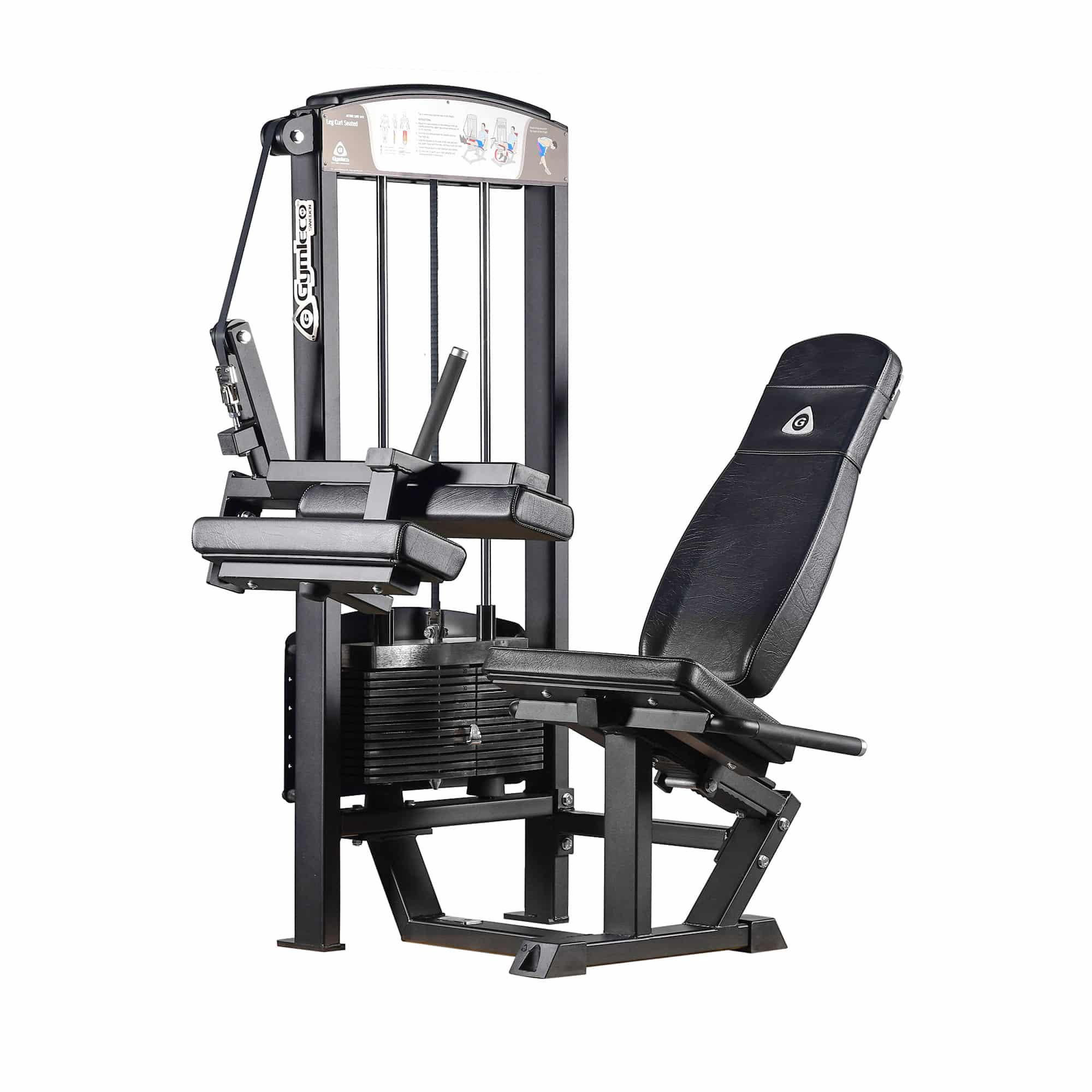 Seated Leg Curl